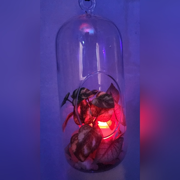 Light up hanging plant under glass - Picture 5 of 7
